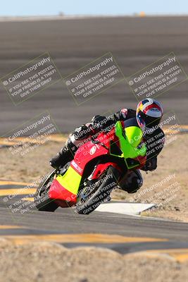 media/Jan-13-2024-SoCal Trackdays (Sat) [[9c032fe5aa]]/Bowl Exit Set 2 (1135am)/